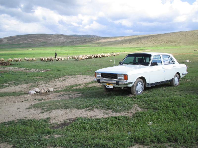 Illustration for article titled Tehranopnik: The Cars And Car Culture Of Iran